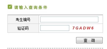 点击图片进入查询入口