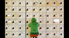 半岛在线注册考生偏爱名校放弃调剂人数增多(图文)