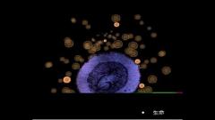 2016半岛在线注册心理学：生物学基础与胎儿发育(图文)