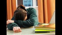 2016半岛在线注册人：二战没有什么可耻的