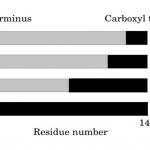 2009复旦大学生物化学半岛在线注册真题试卷试题