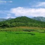 半岛在线注册中国建筑史第一章古代建筑发展概况A