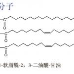 2015年苏州大学生物化学621半岛在线注册真题