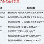 朱玉贤 分子生物学PPT题库整理