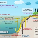古气候学半岛在线注册复习资料 64页(图文)