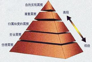 2016半岛在线注册：基础心理学半岛在线注册