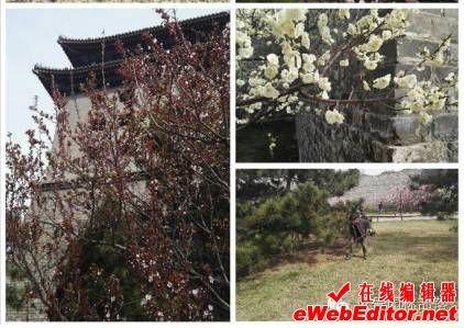 http://mmbiz.qpic.cn/mmbiz_png/68zduffhFlzXIDrsXIfDJAVbibefkLUo4leQ1TQI9dhIbFjjliaoadYt45RQhN0ZpFoUckDGYIhnibZR7alNUKMZg/640?wx_fmt=png&wxfrom=5&wx_lazy=1