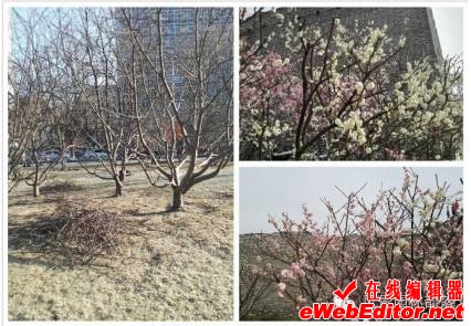http://mmbiz.qpic.cn/mmbiz_png/68zduffhFlzXIDrsXIfDJAVbibefkLUo4IH29KC8k9ibeHmBGSm2KMrEZuJnfuTqpkBWgP2FAdee8uIpiaevpkQGQ/640?wx_fmt=png&wxfrom=5&wx_lazy=1