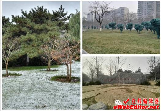 http://mmbiz.qpic.cn/mmbiz_png/68zduffhFlzXIDrsXIfDJAVbibefkLUo4M5Fpu5uE64HIAPknCxdljqkgIUVmgyLyzhSSNKuVoaOU5eic15NAP6A/640?wx_fmt=png&wxfrom=5&wx_lazy=1