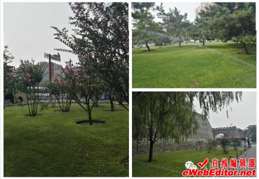 http://mmbiz.qpic.cn/mmbiz_png/68zduffhFlzXIDrsXIfDJAVbibefkLUo4ngIT0zVbaqPwMvtd3kl1ZastBo1znTJjT2cX9jpy8PHDuoCP4JuvCQ/640?wx_fmt=png&wxfrom=5&wx_lazy=1