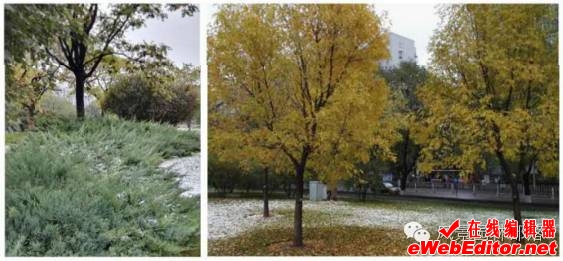 http://mmbiz.qpic.cn/mmbiz_png/68zduffhFlzXIDrsXIfDJAVbibefkLUo4qePakTbmLBibEm4XFOuia4gIszVo1Z4jQscRMgZ7ia1znvR4OibAntMic8g/640?wx_fmt=png&wxfrom=5&wx_lazy=1