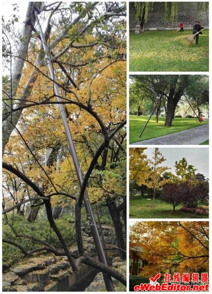 http://mmbiz.qpic.cn/mmbiz_png/68zduffhFlzXIDrsXIfDJAVbibefkLUo4pVe9ibSHGeWYhZ101YucaZ2iazmu0AkUO8Xb4X4PX7K2giakOXzC4Tz8A/640?wx_fmt=png&wxfrom=5&wx_lazy=1