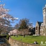 福利：新西兰公立高中或将为国际留学生建宿舍