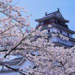 日本高就业率的7大热门专业