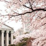 2017年韩国留学申请细节剖析