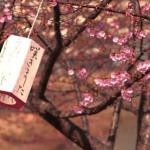 日本留学各类考试攻略详解