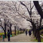 日本留学存款证明,经济担保要准备多少钱?