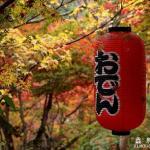 日本语言能力测试,七月报考指南