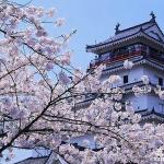 DIY申请日本语言学校,你都需要做好哪些准备?