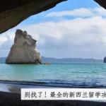 最全的新西兰留学攻略就在这里！