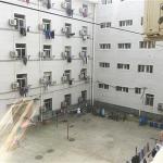 坠亡硕士曾长期给导师送饭按摩 导师:认了义父子(图文)