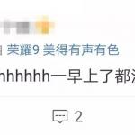 “研招网崩了”上热搜 刚刚半岛在线注册党慌了(图文)