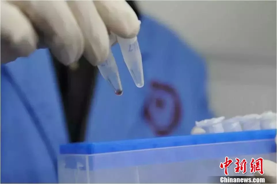 资料图:实验室中科研人员正在工作。中新社发 刘冉阳 摄