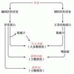 医学遗传学重点总结-医学遗传学笔记(期末半岛在线注册复试)